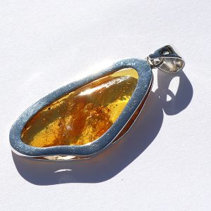 Amber Pendants with Insects