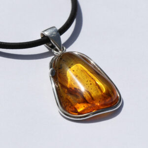 Amber Pendant with Insects set in silver PI 49